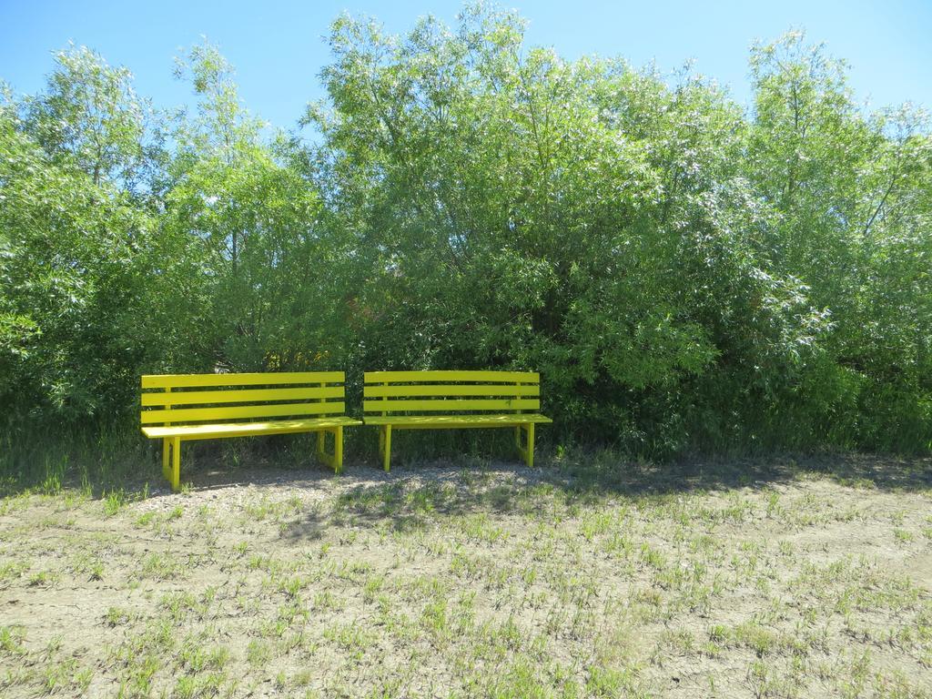 Orchard View Bed And Breakfast Moose Jaw Esterno foto