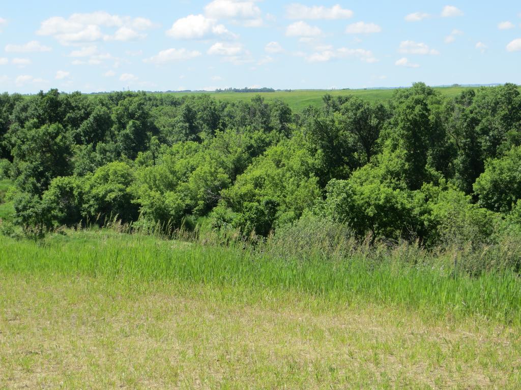Orchard View Bed And Breakfast Moose Jaw Esterno foto
