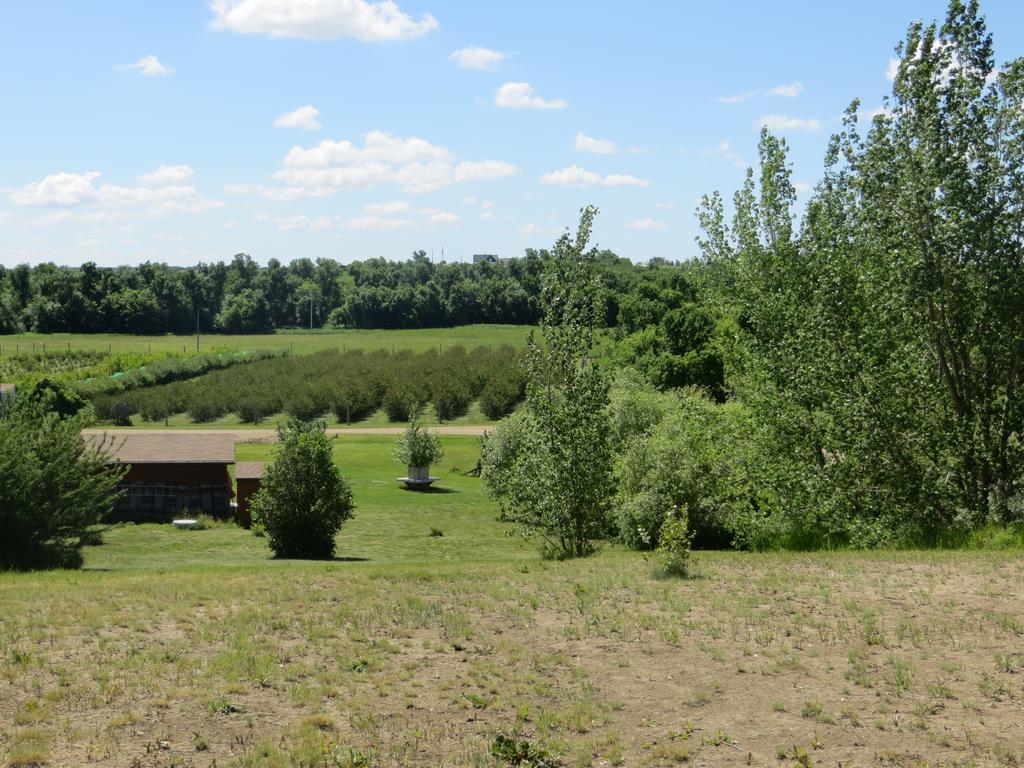 Orchard View Bed And Breakfast Moose Jaw Esterno foto